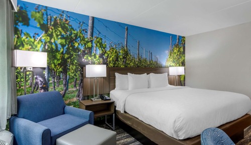Habitación estándar, 1 cama de matrimonio grande, no fumadores