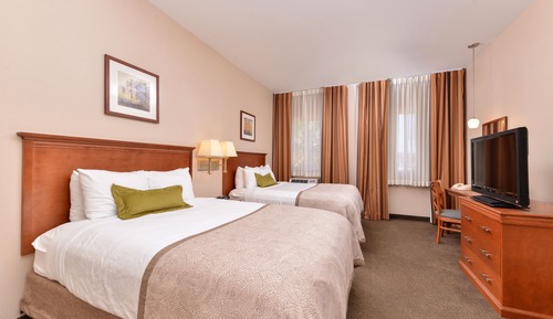 Suite, 1 Bedroom w/ 2 Queens