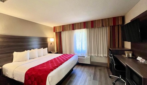 Habitación Business, 1 cama de matrimonio grande, no fumadores (One-Bedroom)