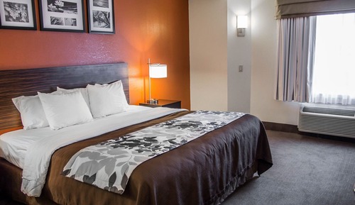 Habitación estándar, 1 cama de matrimonio, no fumadores