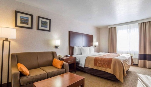 Habitación estándar, 1 cama de matrimonio grande, no fumadores