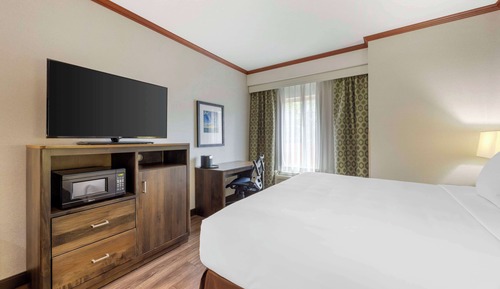 Habitación estándar, 1 cama de matrimonio grande, no fumadores, microondas