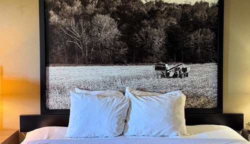 Habitación estándar, 1 cama de matrimonio grande