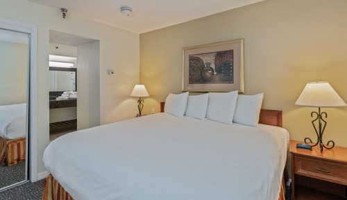 Suite estudio, 1 cama de matrimonio grande, cocina