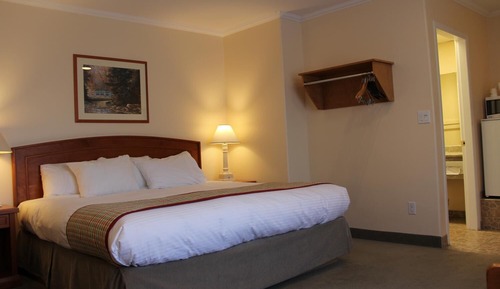Habitación estándar, 1 cama de matrimonio grande