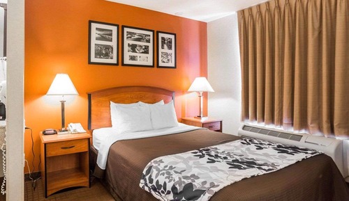 Habitación estándar, 1 cama de matrimonio, no fumadores
