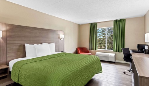 Habitación estándar, 1 cama de matrimonio grande, no fumadores