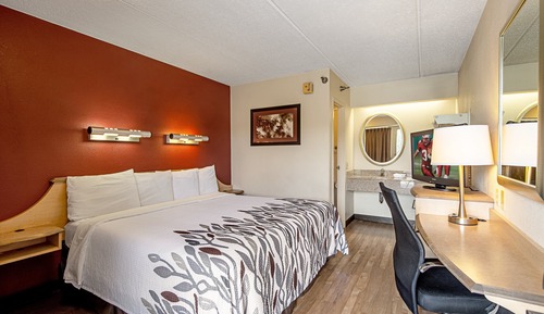 Habitación estándar, 1 cama de matrimonio grande, fumadores