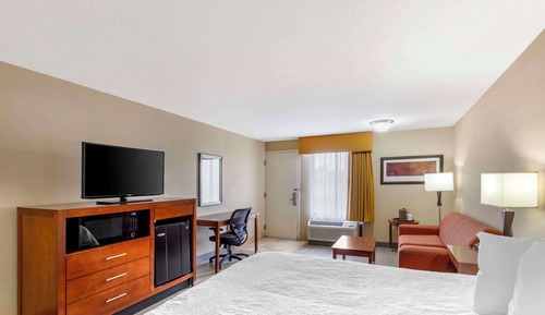 Habitación estándar, 1 cama de matrimonio grande, no fumadores (Pet Friendly)