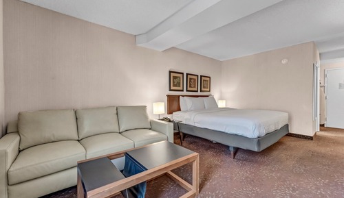 Habitación estándar, 1 cama de matrimonio grande con sofá cama