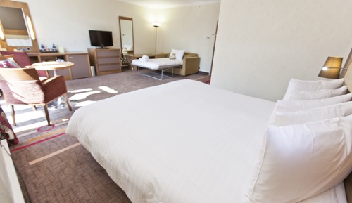 Habitación, 1 cama de matrimonio grande con sofá cama