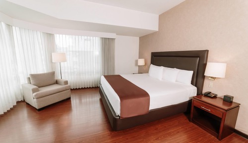 Suite Deluxe, 1 cama de matrimonio grande, no fumadores