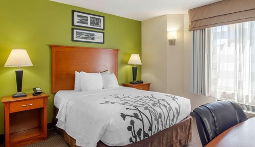 Habitación, 1 cama de matrimonio, accesible para personas con discapacidad, no fumadores