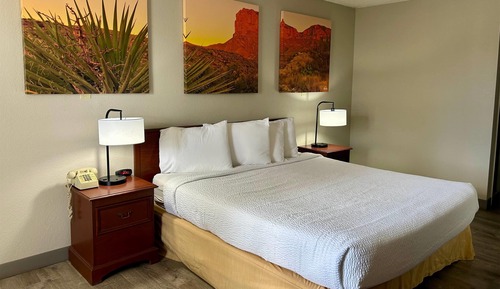 Habitación estándar, 1 cama de matrimonio grande