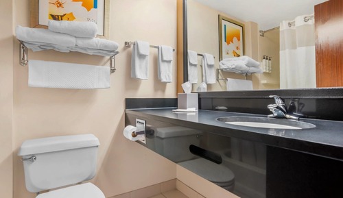 Habitación estándar, 1 cama de matrimonio grande, no fumadores