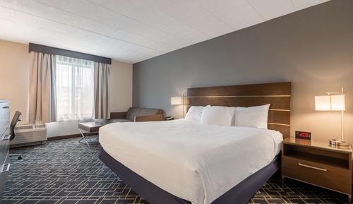 Habitación estándar, 1 cama de matrimonio grande, no fumadores