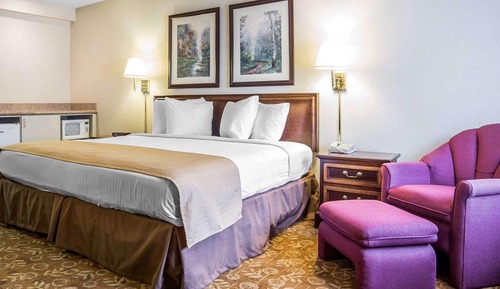 Habitación estándar, 1 cama de matrimonio grande, no fumadores
