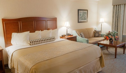 Habitación estándar, 1 cama de matrimonio grande, no fumadores (with Sofabed)