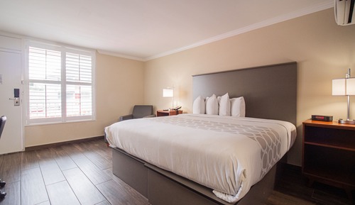 Habitación junior, 1 cama de matrimonio grande