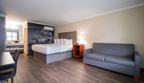Habitación estándar, 1 cama de matrimonio grande