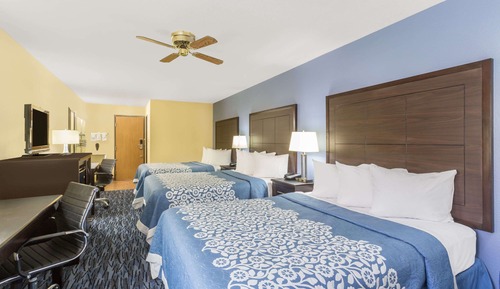 Suite Deluxe
