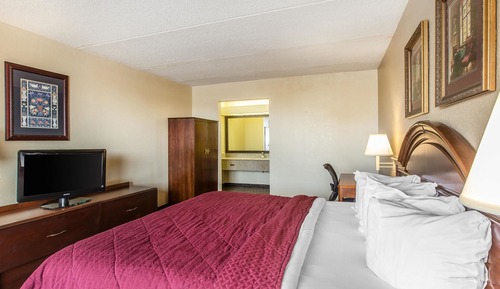 Habitación estándar, 1 cama de matrimonio grande, no fumadores