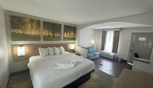 Habitación estándar, 1 cama de matrimonio grande