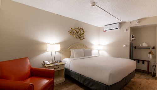 Habitación, 1 cama de matrimonio grande, accesible para personas con discapacidad