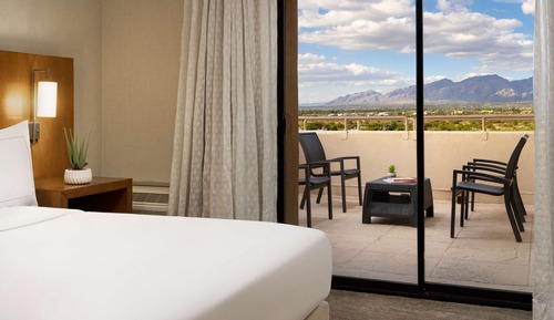 Habitación ejecutiva, 1 cama de matrimonio grande