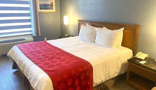 Suite junior, 1 cama de matrimonio grande, no fumadores