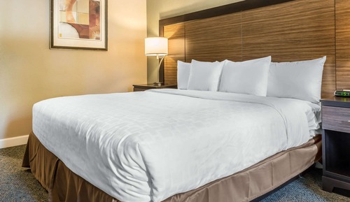 Habitación estándar, 1 cama de matrimonio grande con sofá cama, no fumadores (2 Person Sofa Bed)