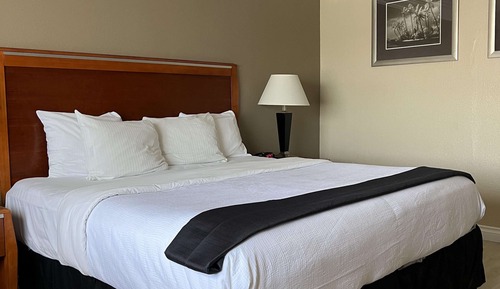 Habitación estándar, 1 cama de matrimonio grande, no fumadores, frigorífico