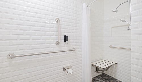 Habitación estándar, 1 cama doble (Mobility, Roll-In Shower)