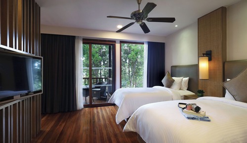 Estudio (Rainforest)