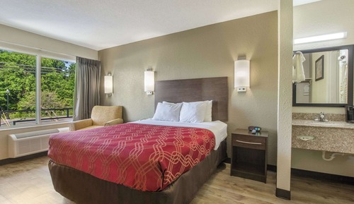 Habitación estándar, 1 cama de matrimonio, no fumadores