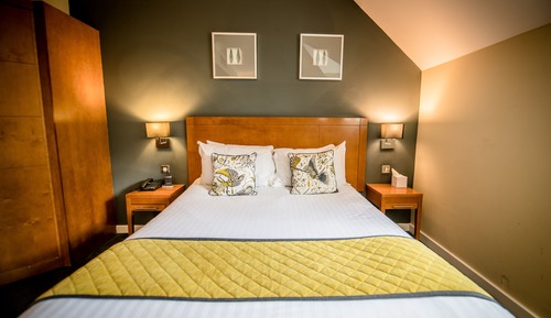 Habitación ejecutiva doble, 1 cama de matrimonio grande, no fumadores