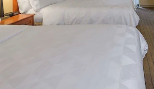 Habitación estándar, 2 camas dobles, no fumadores