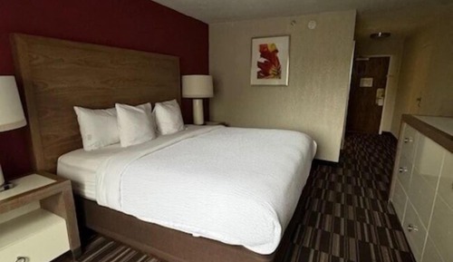 Deluxe Room, 1 King Bed, Accessible, Non Smoking