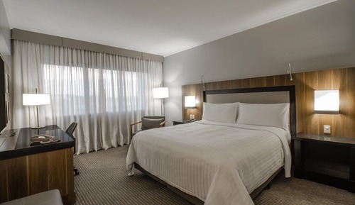 Habitación ejecutiva, 1 cama de matrimonio grande