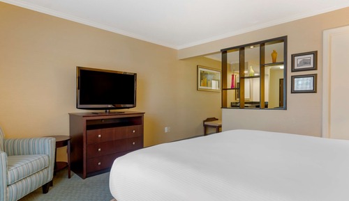 Suite, 1 cama de matrimonio grande, no fumadores, frigorífico y microondas (with Sofabed)