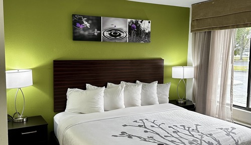 Habitación, 1 cama de matrimonio grande, no fumadores