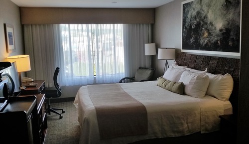 Habitación estándar, 1 cama de matrimonio, frigorífico y microondas, vistas a la ciudad