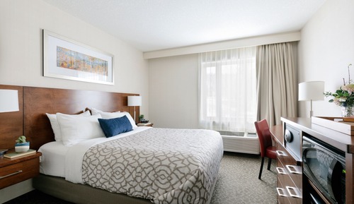 Habitación estándar, 1 cama de matrimonio