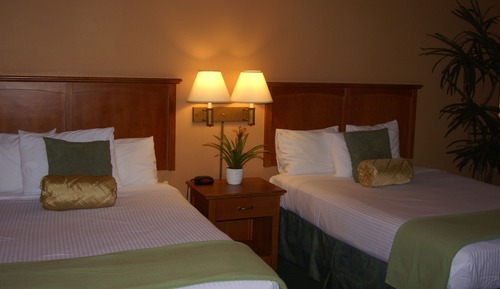 Habitación estándar, 1 cama de matrimonio grande (Standard King Room)