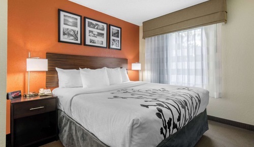 Habitación estándar, 1 cama de matrimonio grande, no fumadores