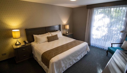 Suite, 1 cama de matrimonio grande