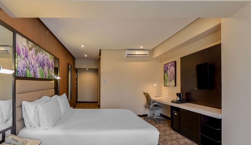Suite junior, 1 cama de matrimonio grande, vistas a la ciudad