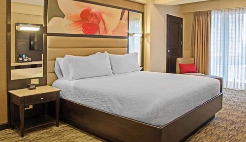 Suite junior, 1 cama de matrimonio grande