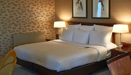 Habitación junior doble, 1 cama de matrimonio grande