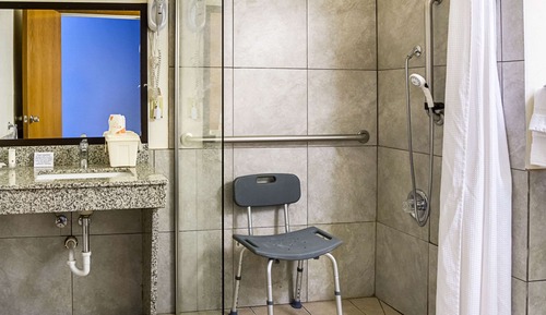 Habitación, 1 cama de matrimonio, accesible para personas con discapacidad (Roll-In Shower)